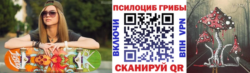 Псилоцибиновые грибы Cubensis  Купить где  Мосальск 